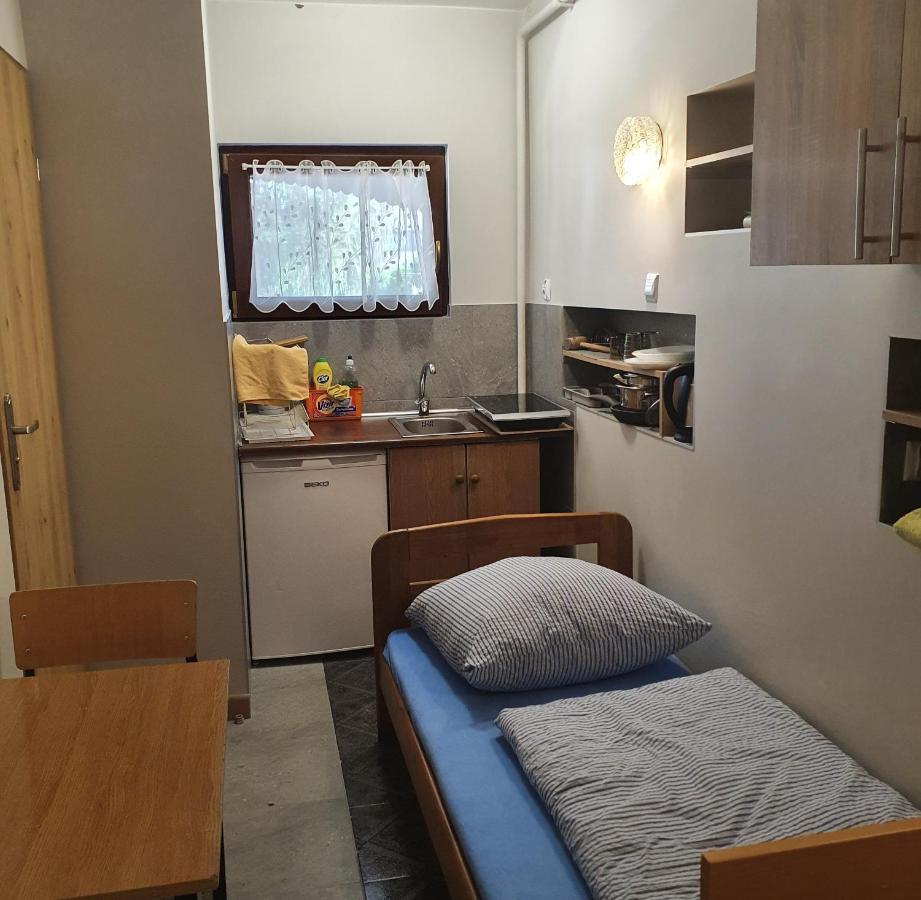 Noclegi Silesia Aster Тичи Стая снимка